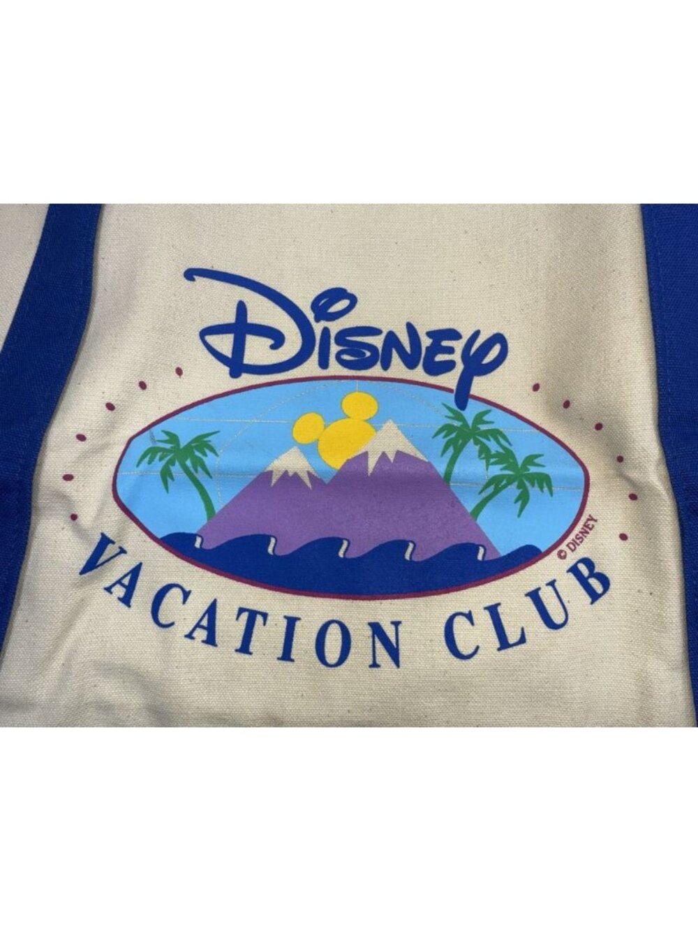 Vtg Disney Vacation Club Member Large Tote Travel Canvas Bag 15" X 14” X 6” NEW